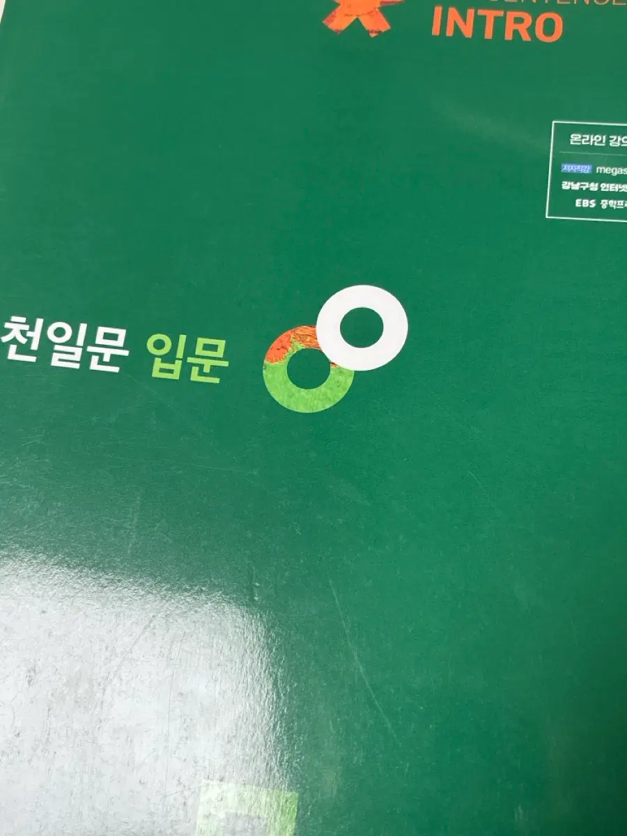 천일문 입문