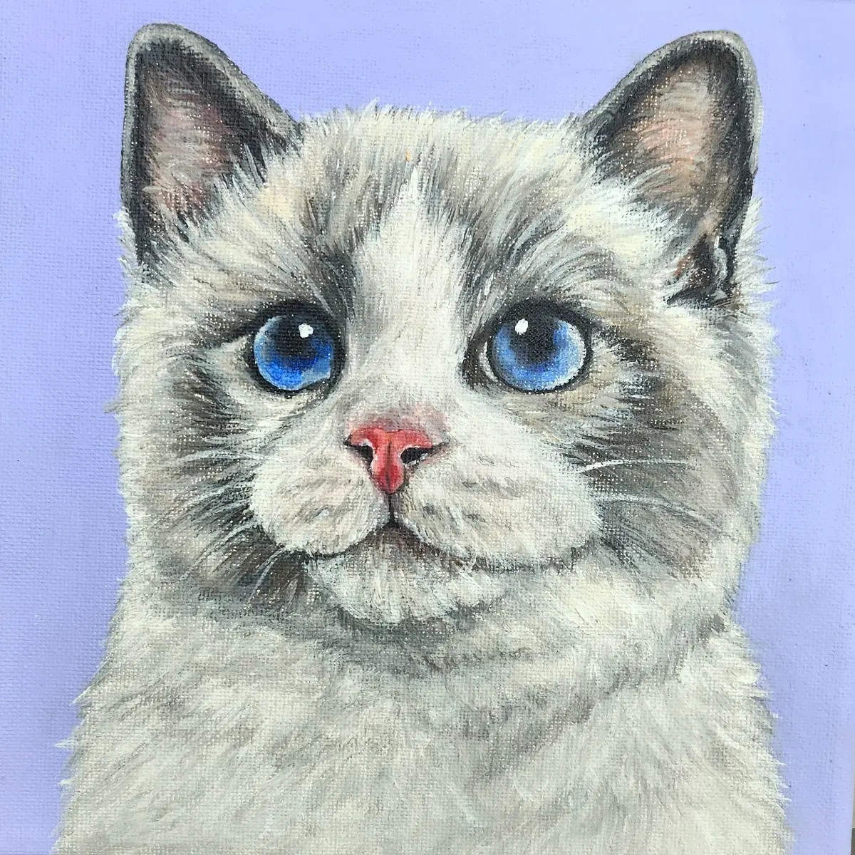 고양이아크릴화 캔버스그림 고양이그림 랙돌 초상화 고양이초상화