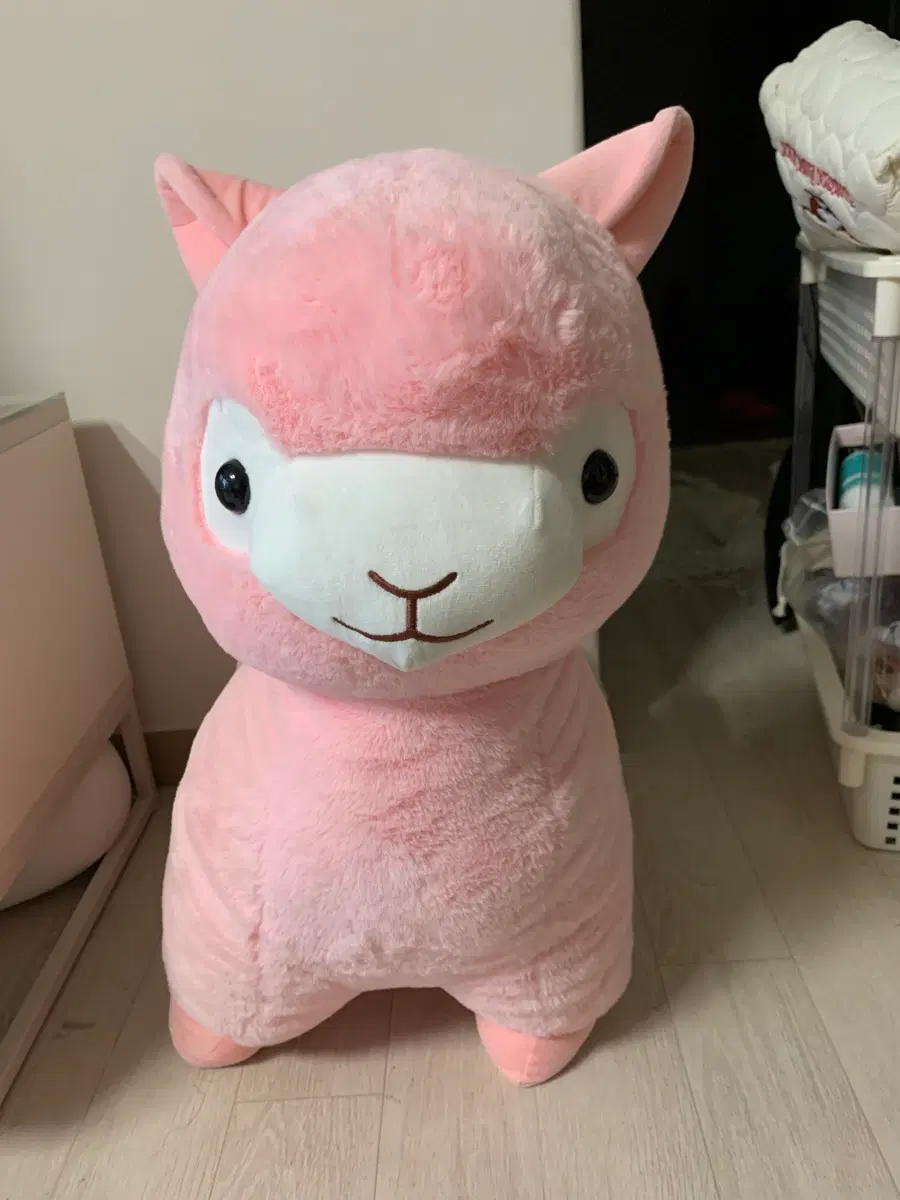 알파카 대형인형