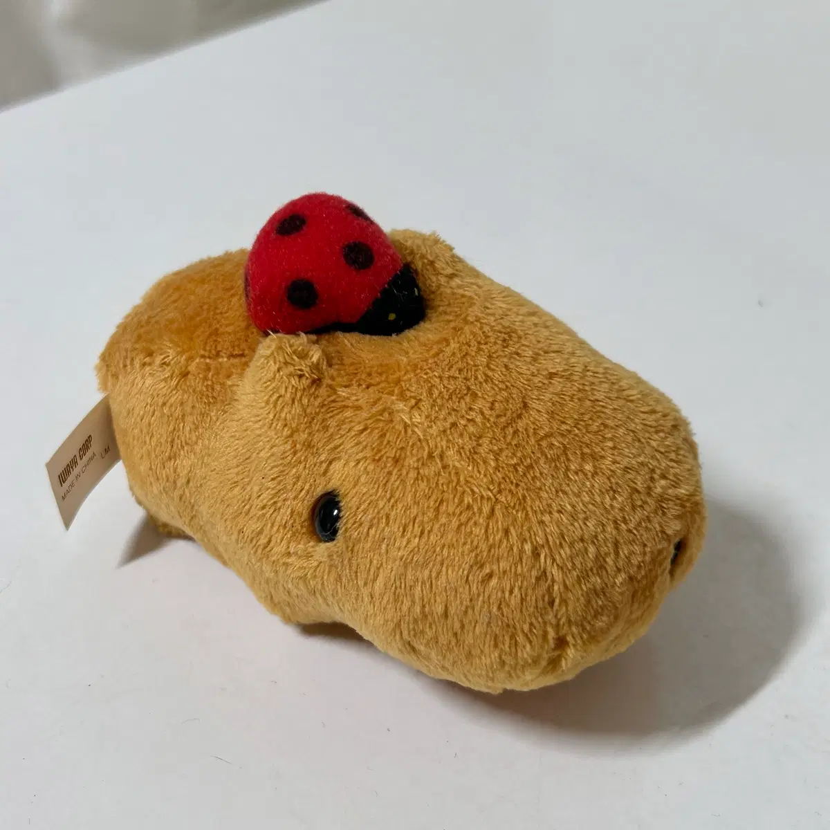 카피바라상 무당벌레 풀백카 태엽 인형