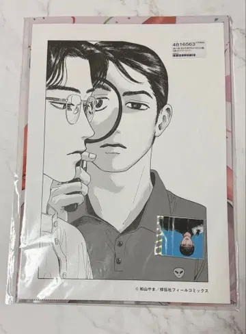 와야마 야마 여자들의 정원 별 클리어 파일 스티커