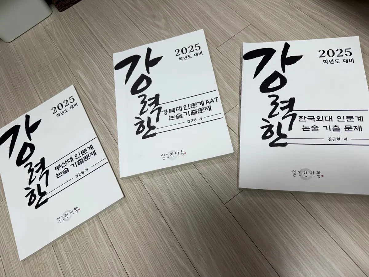 2025학년도 대비 강력한 논술 기출문제집 (한국외대/경북대/부산대)