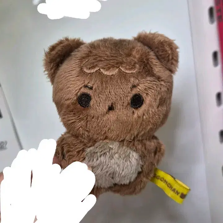엔시티 해찬 인형 꼼찬이 양도
