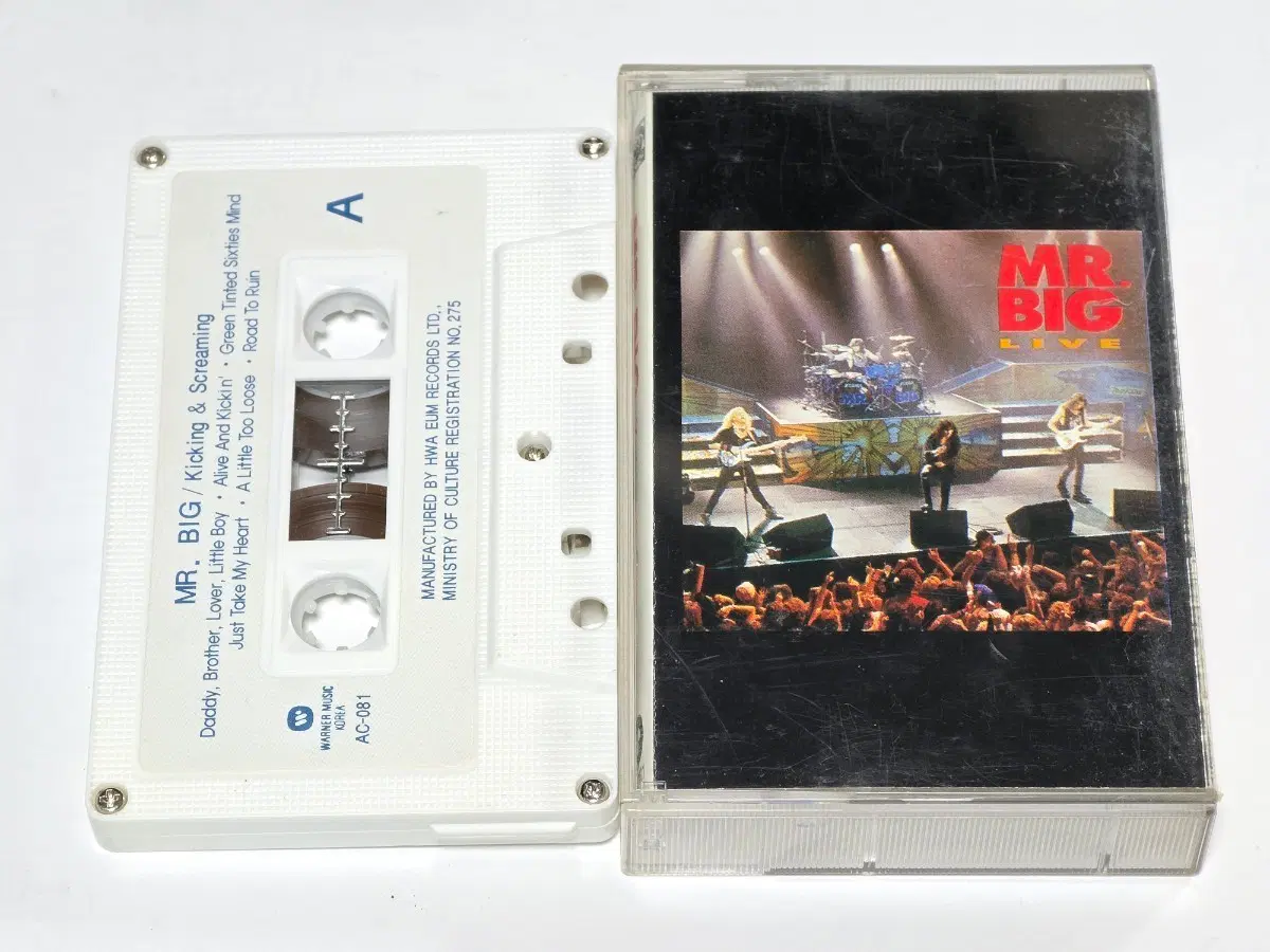 미스터 빅 (Mr. Big) - Live (Kicking & Scream