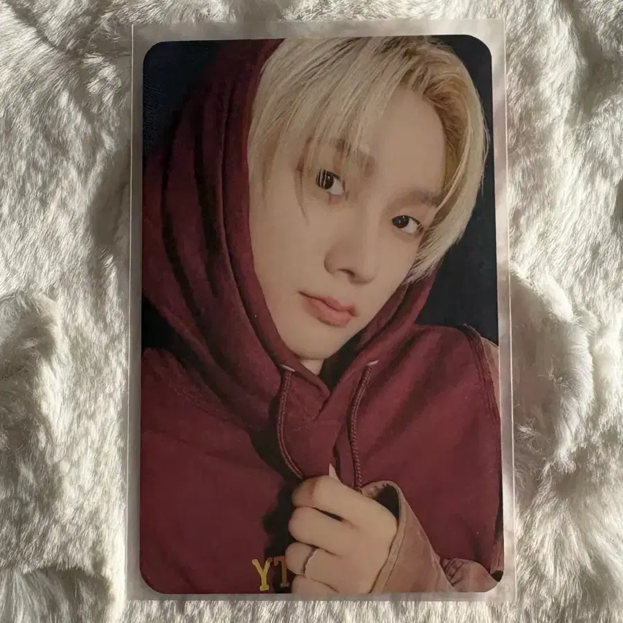 보넥도 성호 포카