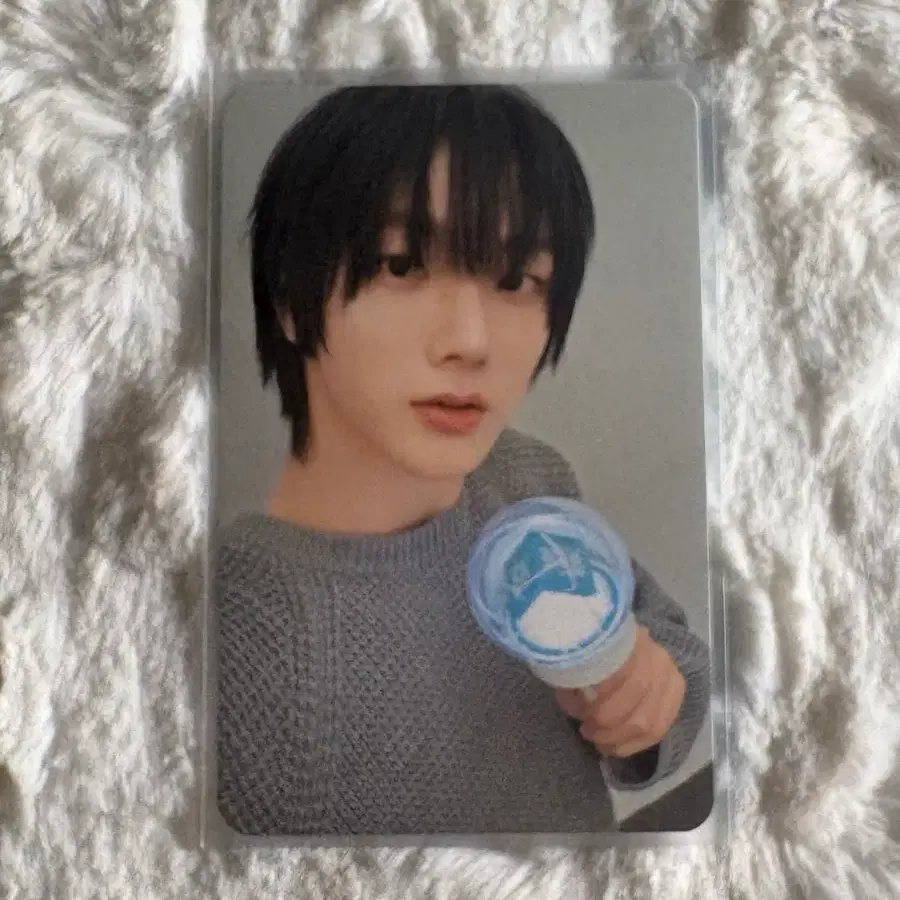 보넥도 성호 포카