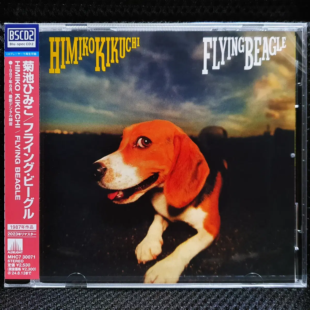 키쿠치 히미코 FLYING BEAGLE CD 미개봉 신품
