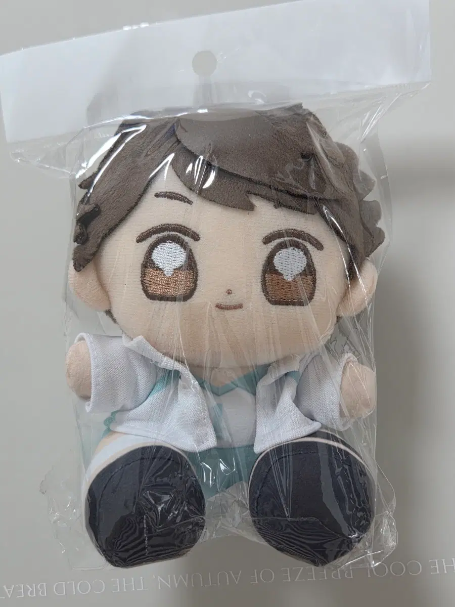 하이큐 타이토 쿠지 D상 오이카와 토오루 누이 인형