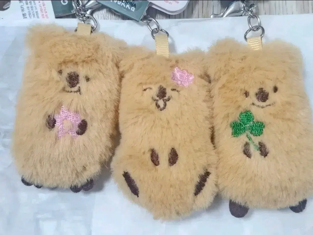 다이소 쿼카 인형 키링 세트