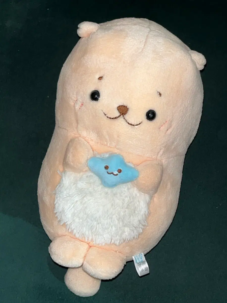 시로탄 물개 인형