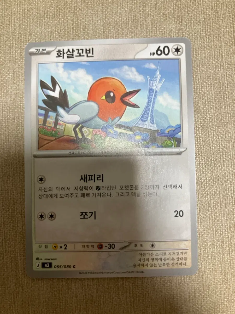 포켓몬카드 화살꼬빈