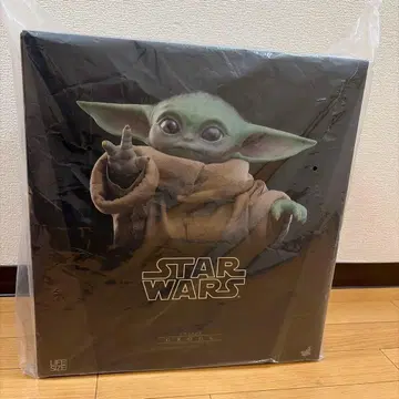 STARWARS 그로구 1/1 라이프사이즈 핫토이즈 피규어
