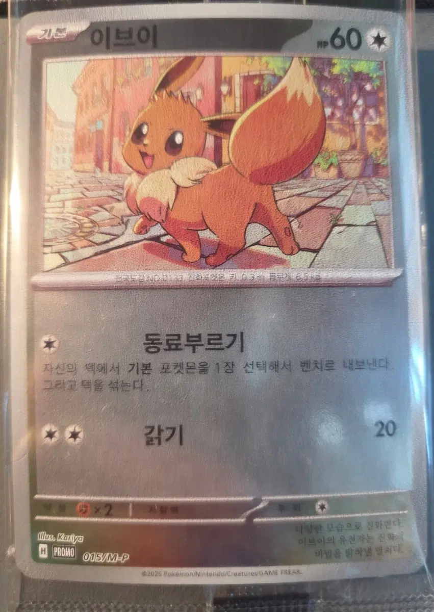 포켓몬 TCG 이브이 2026 코리안리그 프로모 카드 (한글판) 미개봉