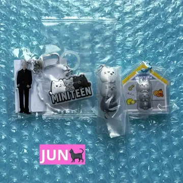 SEVENTEEN MINITEEN 미니틴 준 세트