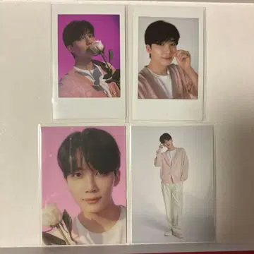 SEVENTEEN 하나비 트레이딩 카드 폴라로이드 정한 묶음 판매 팬미팅 하니