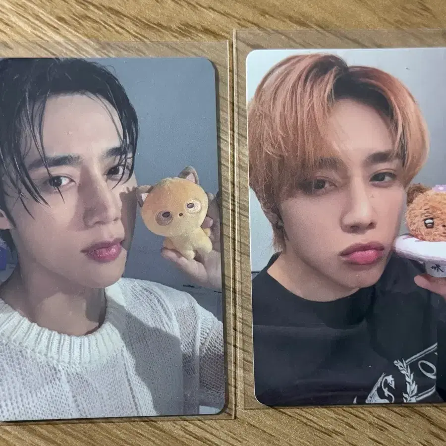 더보이즈 선우 인형포카 팝니다