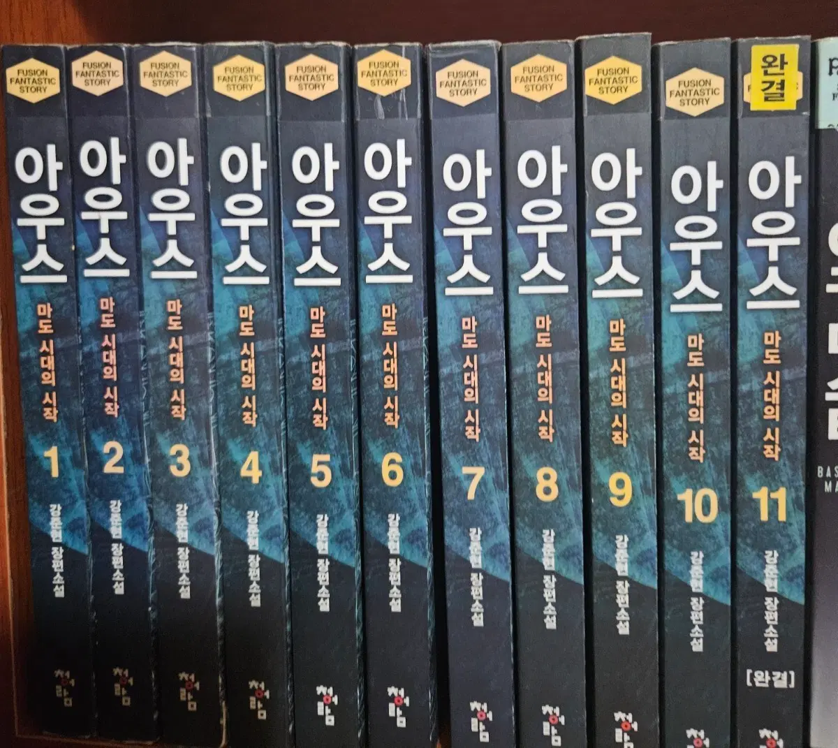 아우스1-11완
