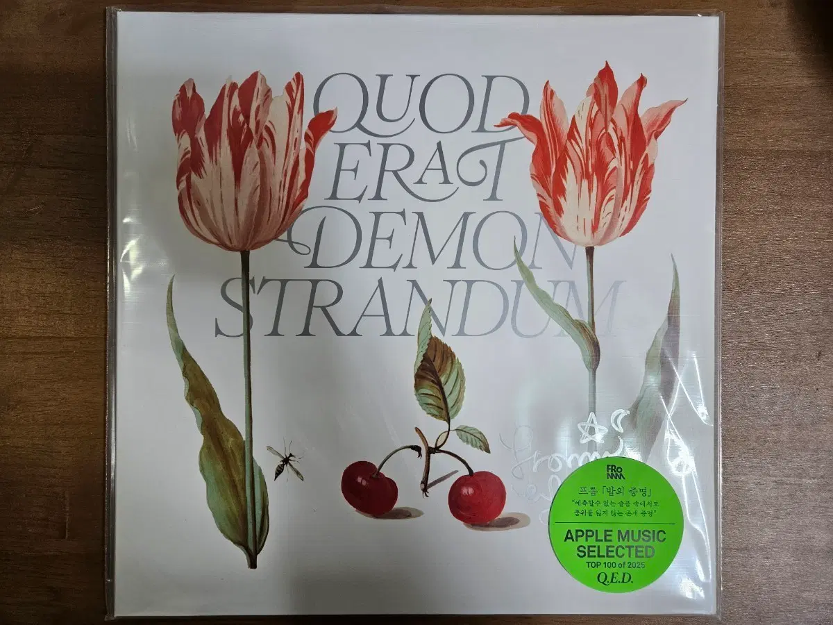 프롬 Q.E.D LP 미개봉 사인반
