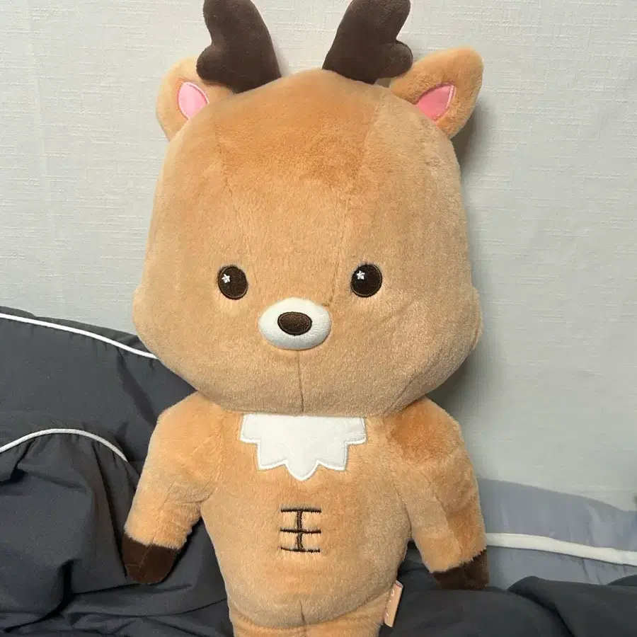 라이즈 40센치 우락밤