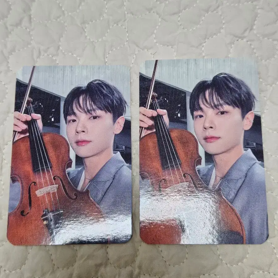 일괄) 루시 신예찬 포카