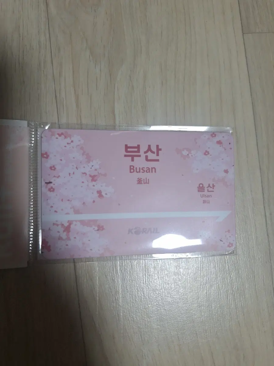 코레일 부산 벚꽃 에디션 카드