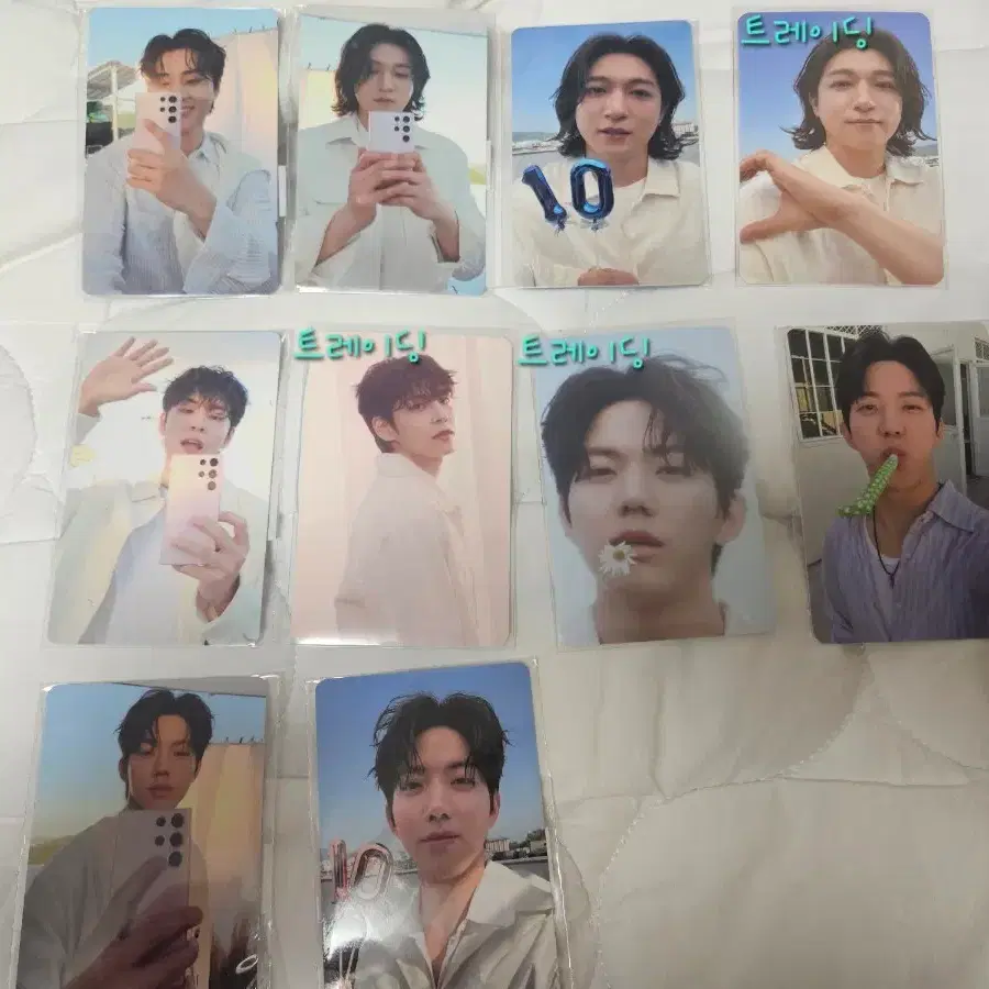 일괄) 데이식스 피어텐 엠디포카+트레이딩 카드