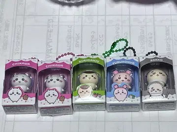 치이카와 초코 박스 5개 세트