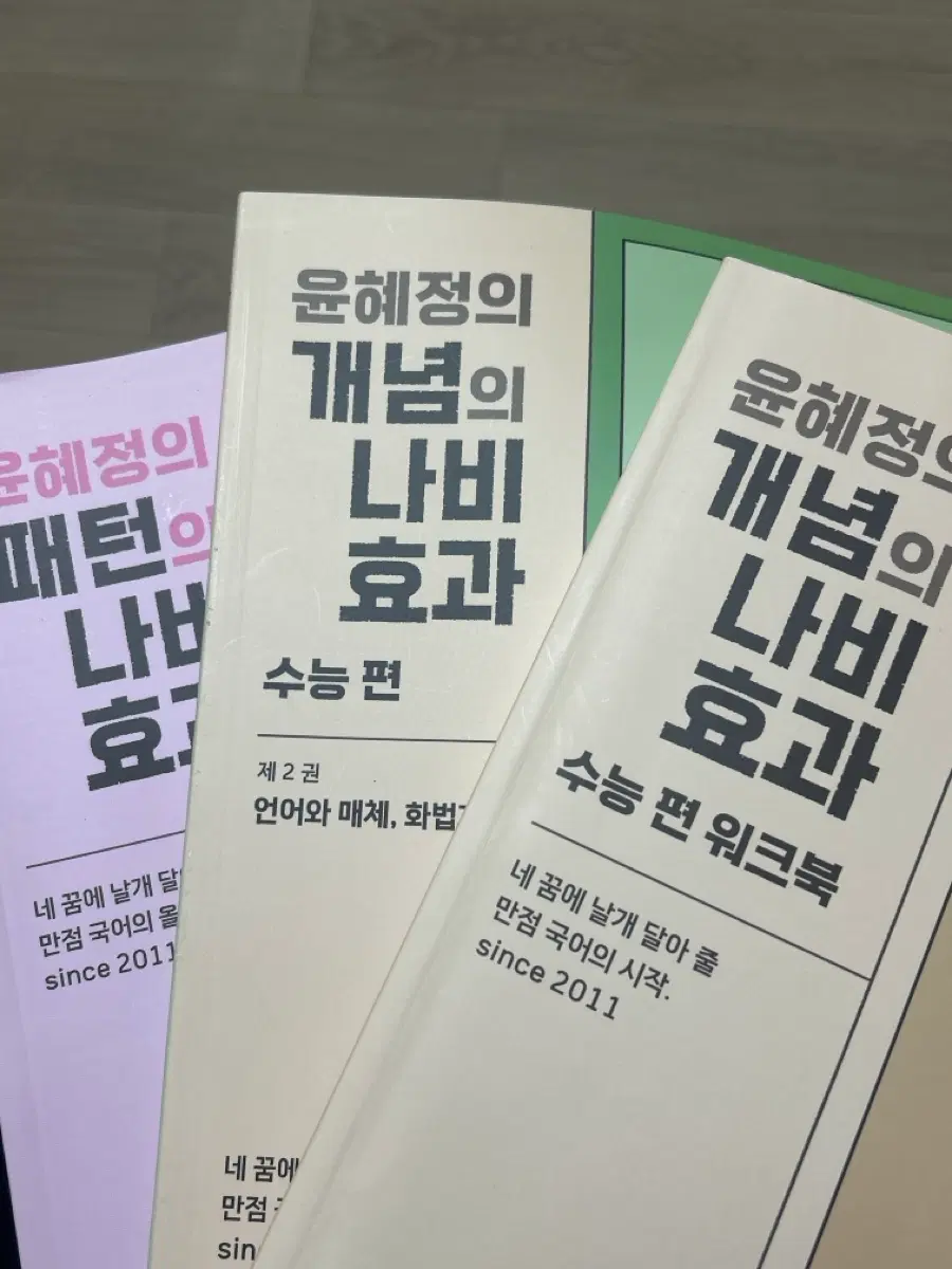 윤혜정 개념의 나비효과 수능편