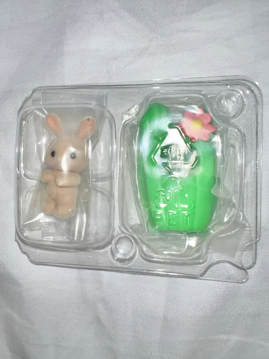 실바니안 블라인드백 아기어드벤처 선인장 토끼