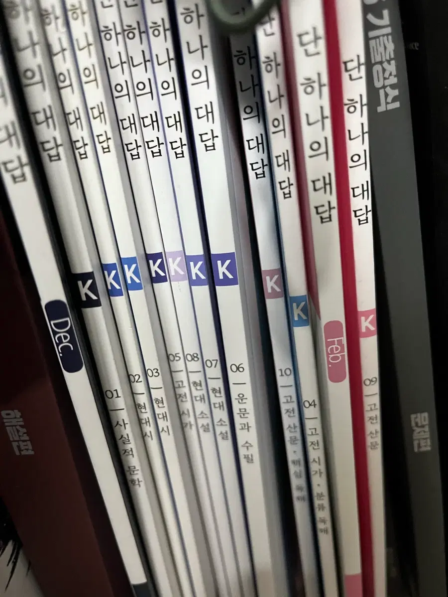 시대인재 [ 강은양 김은양 문학 전권 ] 핵심 강의 k시즌