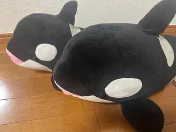 스마 월드 범고래 복권