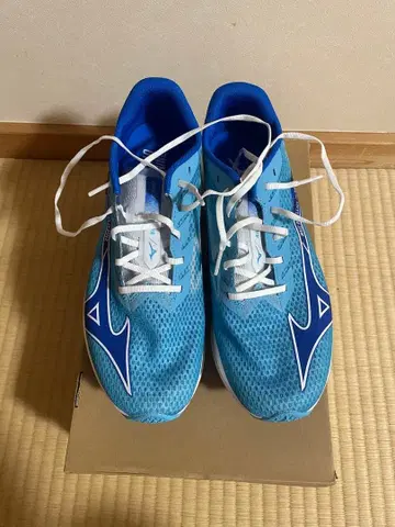 미즈노 웨이브 레벨리온 플래시 2 27.5cm