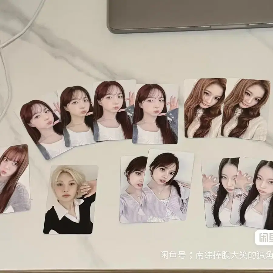 예판 엔믹스 멜버른 입장 포카 배이
