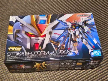 RG 1/144 스트라이크 프리덤 건담