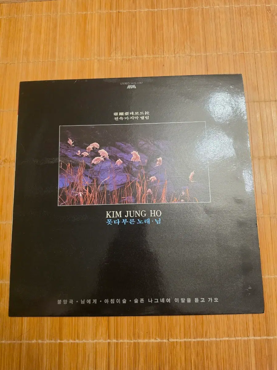 김정호 못다 부른 노래 님 LP