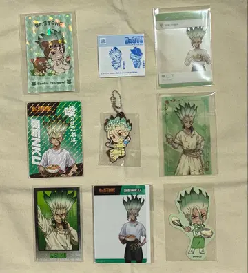 Dr.STONE 이시가미 센쿠 굿즈 세트 8점