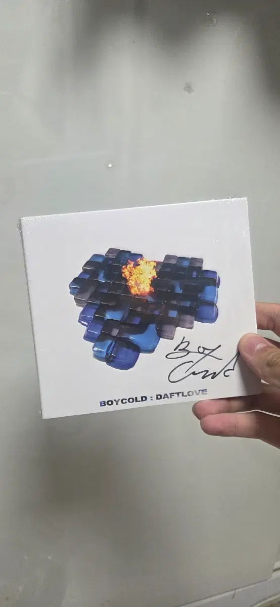 [미개봉사인반] 보이콜드 DAFT LOVE