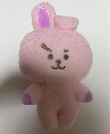 BT21 COOKY 봉제 인형 BTS 정국 JUNGKOOK