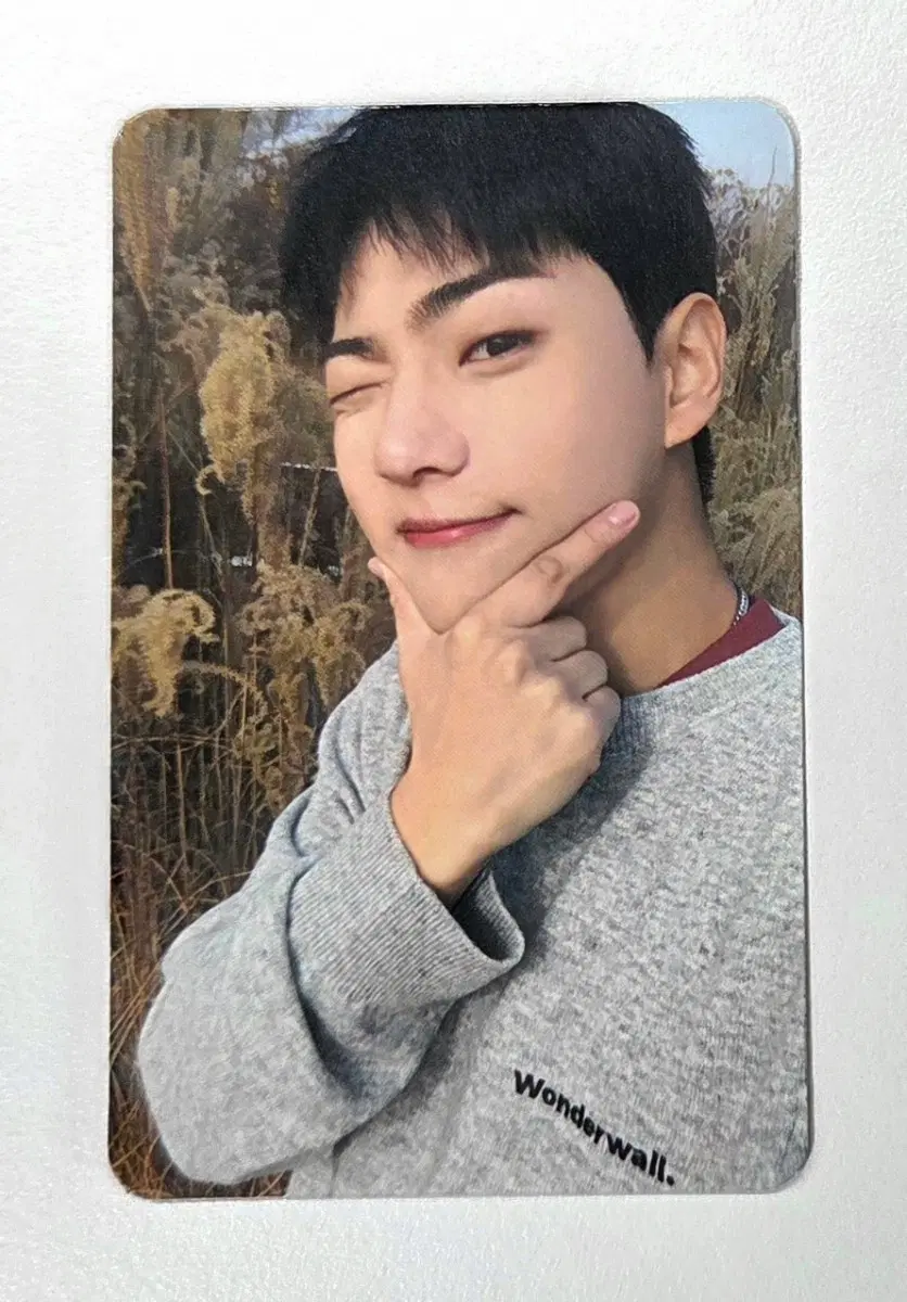 원더월 콜라보 포카 / 온앤오프 이션