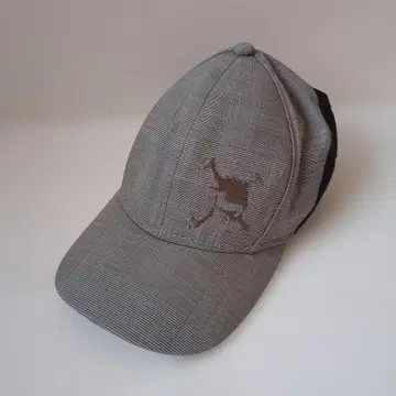 OAKLEY 오클리 남성용 골프 캡 그레이