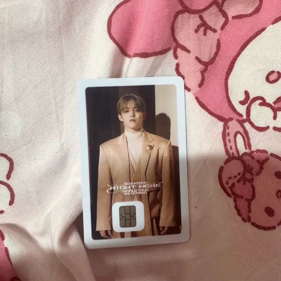 에스쿱스 나마네카드