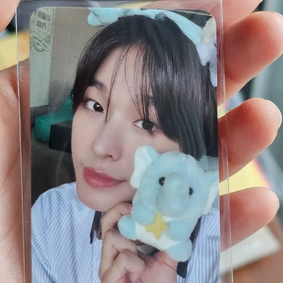 택포 에버랜드 입장 포카 에버위시 리쿠