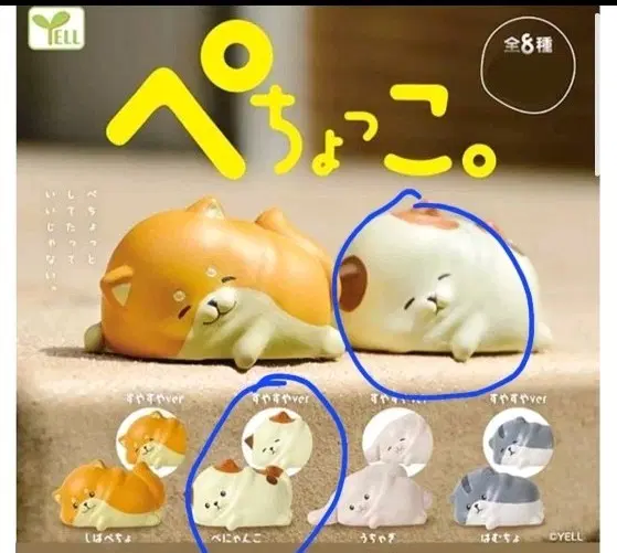 페춋코 고양이 가챠 피규어