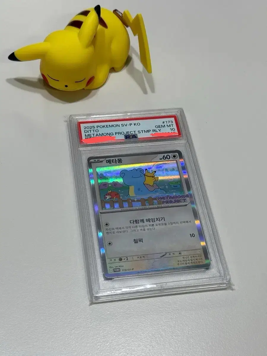 포켓몬카드 메타몽프로모 PSA 10 (잠실)
