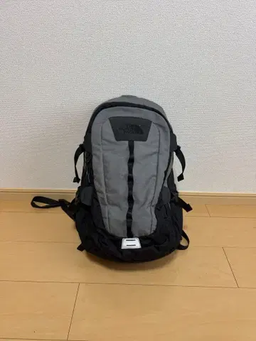 THE NORTH FACE 백팩 백팩 그레이 블랙