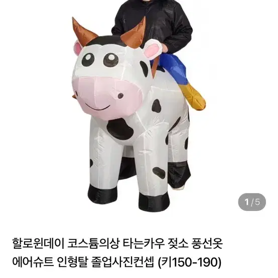 할로윈데이 타는 카우 젖소 에어슈트