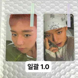 박지훈 리플렉트 앨범 포토카드 나뭇잎 반다나 일괄