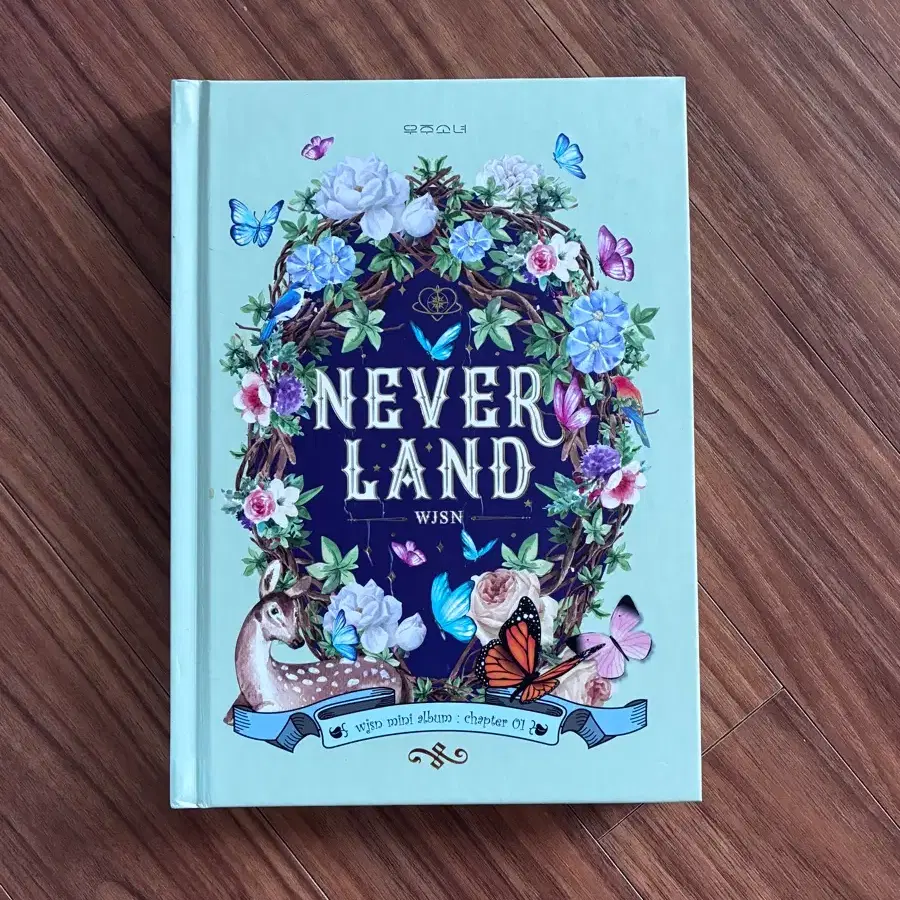 우주소녀 NEVER LAND 앨범 개봉
