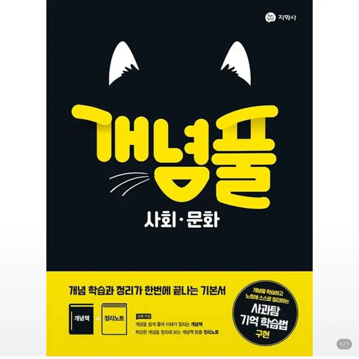 개념플러스 사회문화