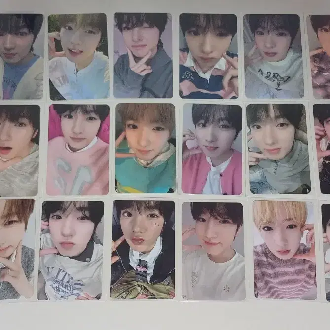 사쿠야 포카 일괄 판매